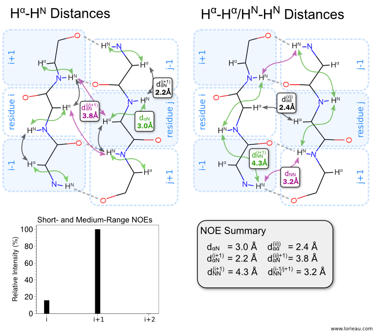 beta-sheet anti-parallel NOEs